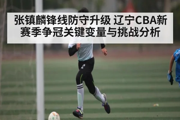 张镇麟锋线防守升级 辽宁CBA新赛季争冠关键变量与挑战分析